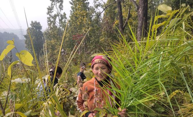 Sustainability of women’s access to forest resources is ensured