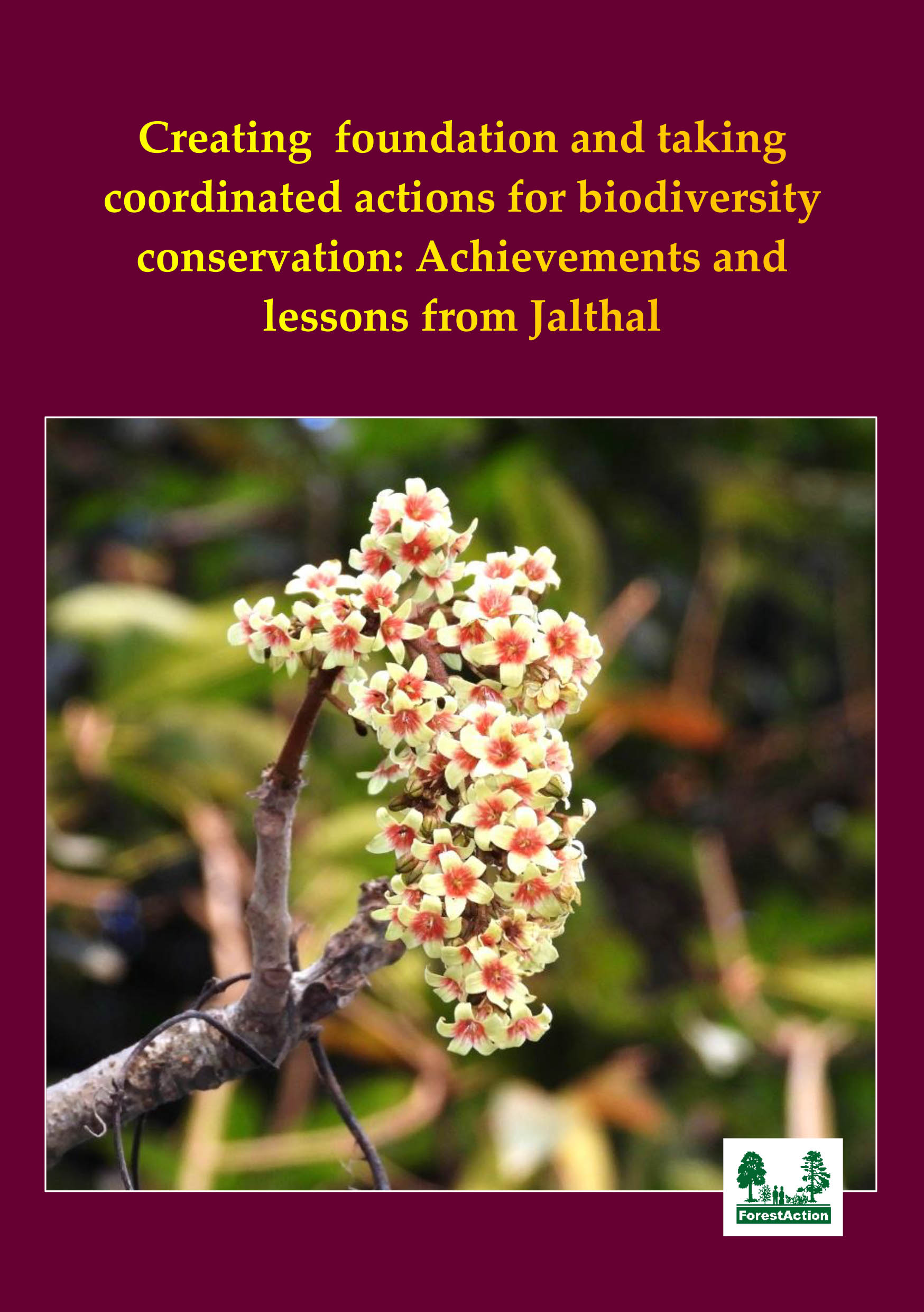 Creating foundation and taking coordinated actions for biodiversity conservation: Achievements and lessons from Jalthal