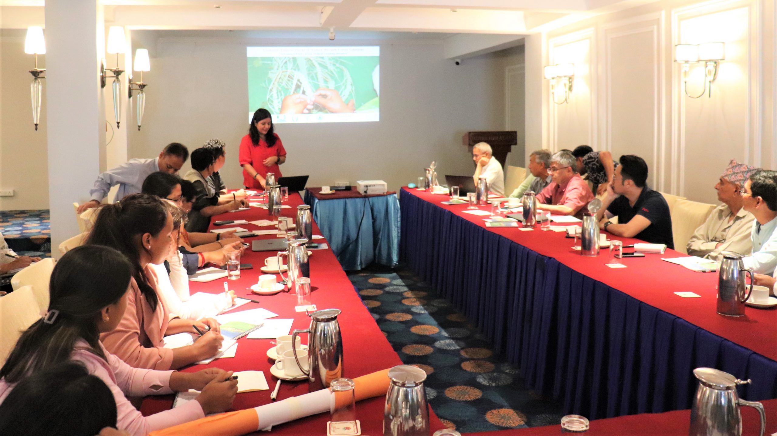 Joint Meeting on sharing emerging findings, reflections and learnings