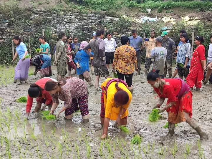 Our dream: localization of food, livelihood and economy