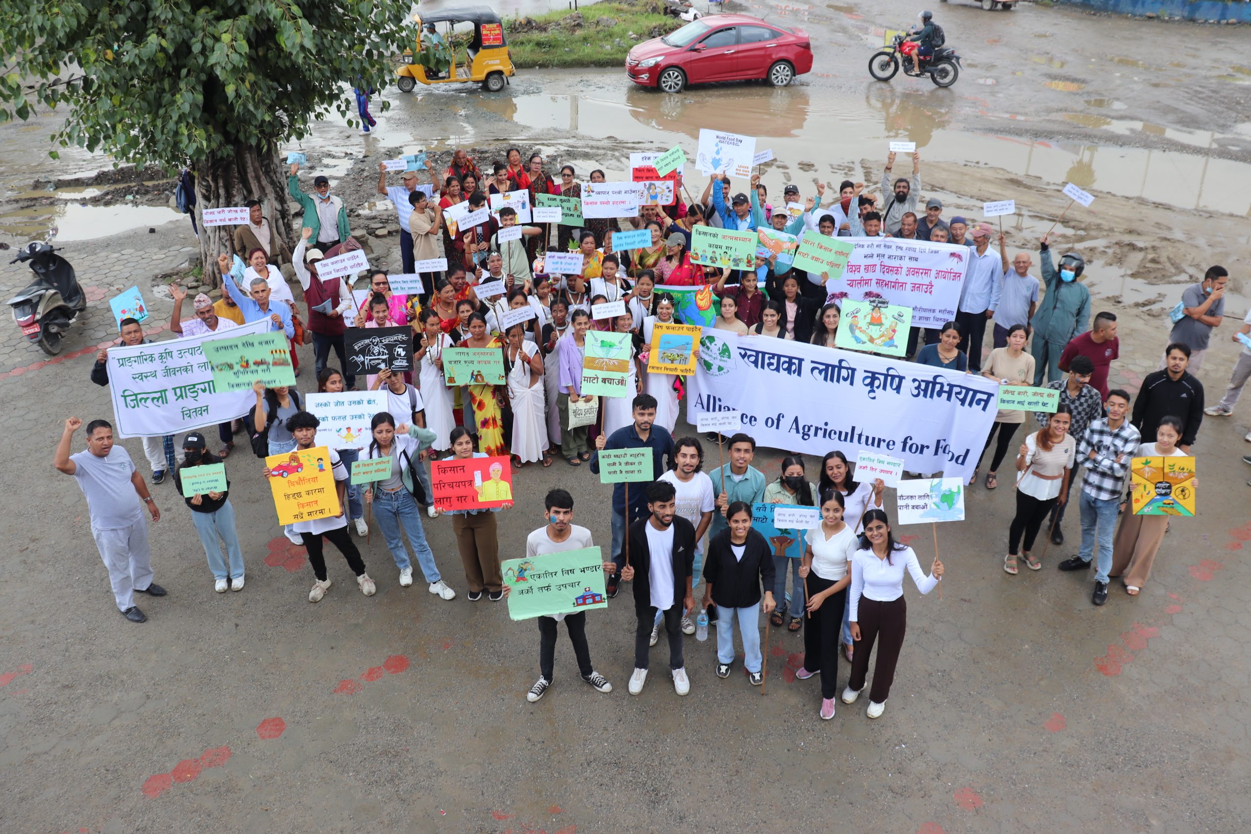 Advocacy and Campaign