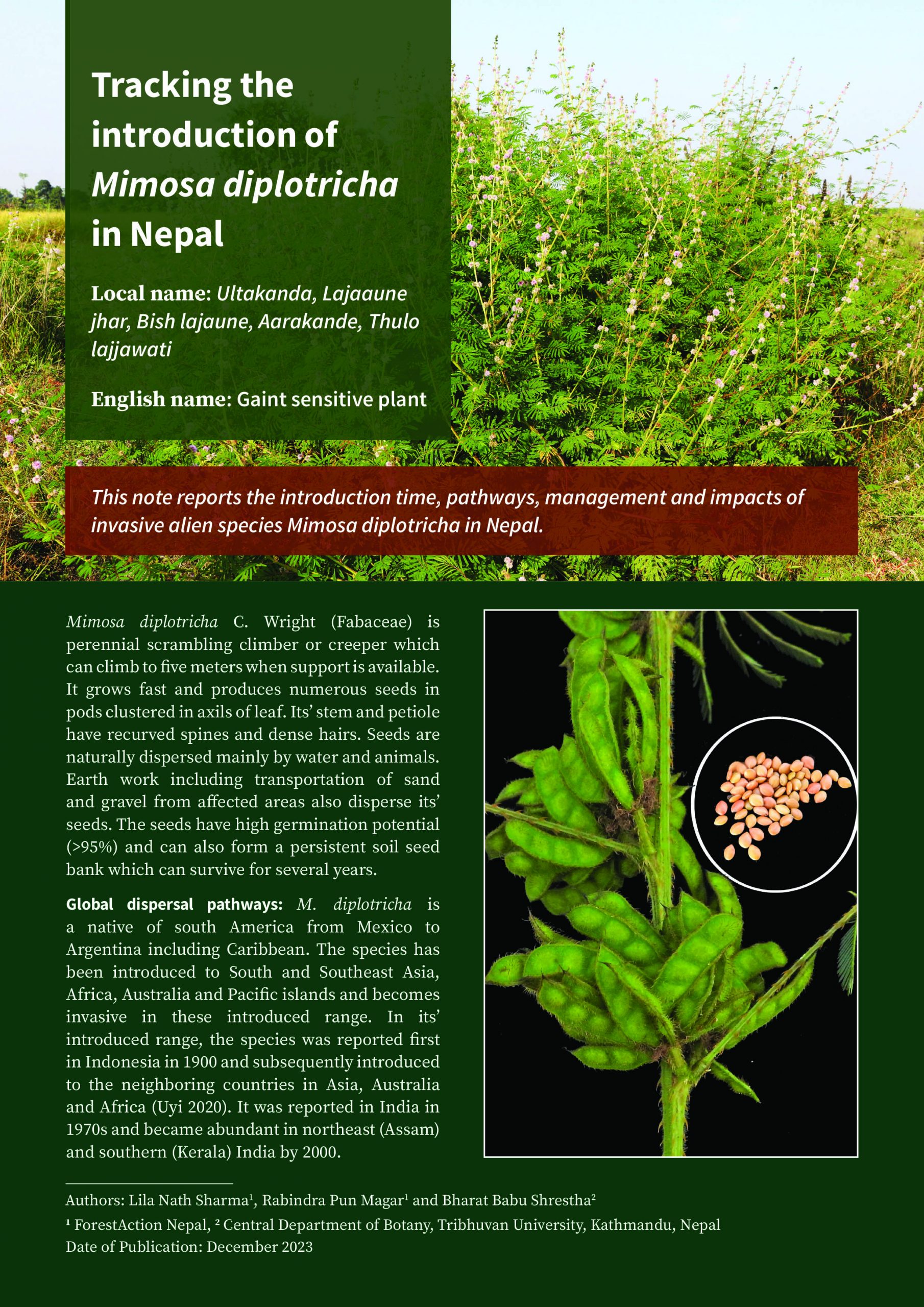 Tracking the introduction of Mimosa diplotricha in Nepal