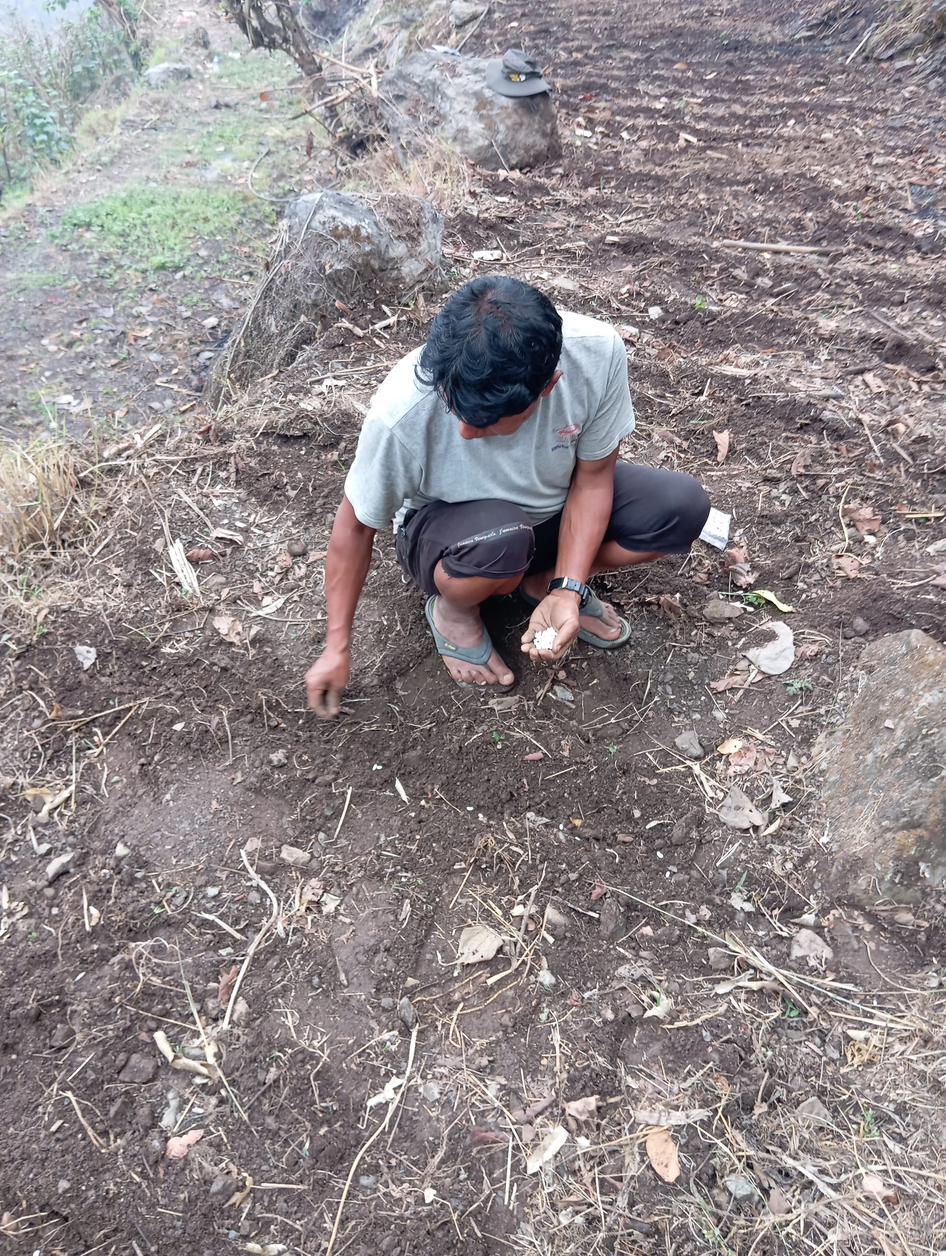 Farmers led on-farm trials to evaluate the performance of different Beans varieties in  Dhusa, Ichchhakamana