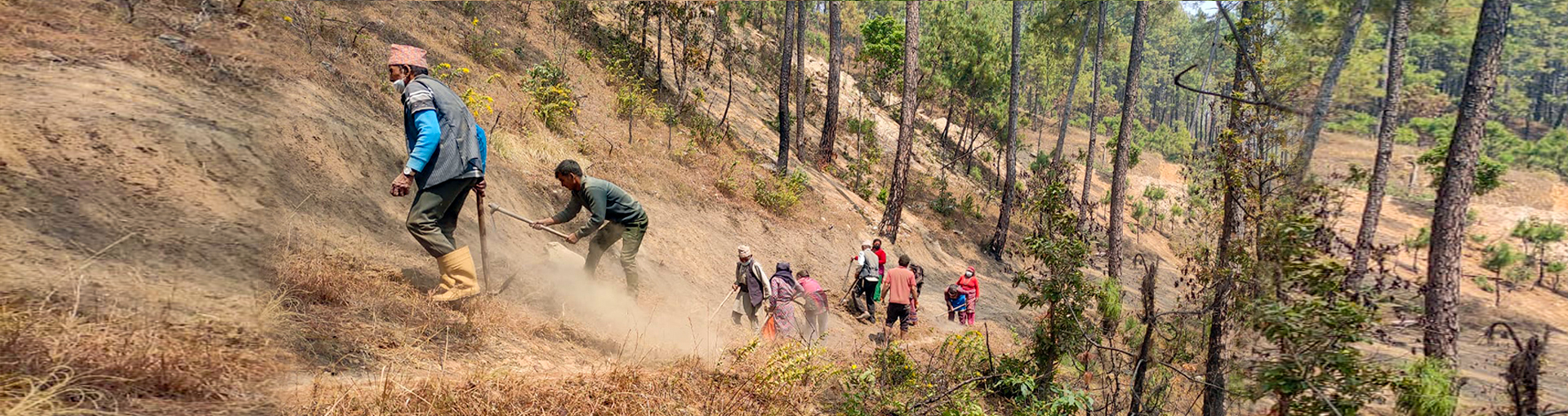 Fostering community led forest fire management in high altitude regions of Nepal