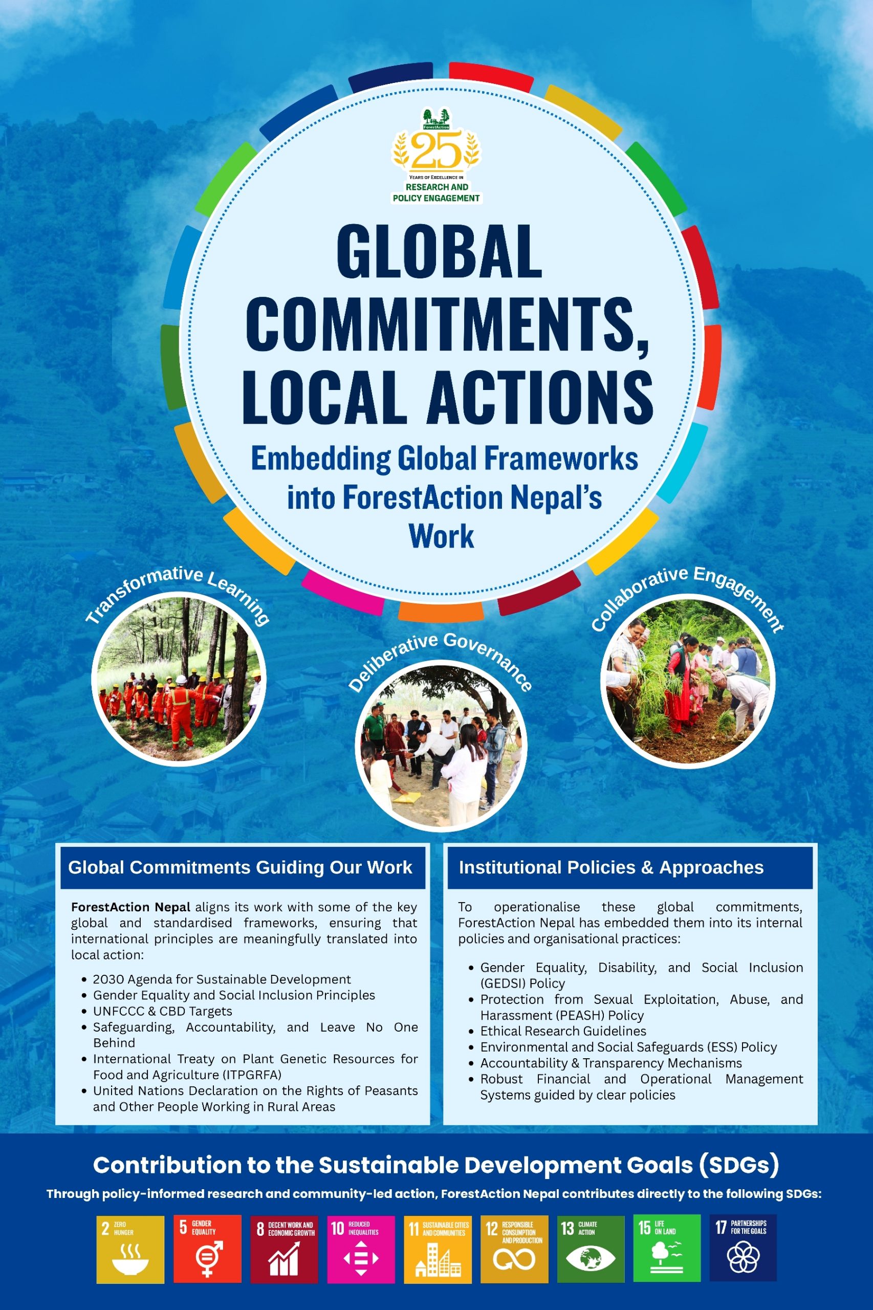 Global Commitments, Local Actions