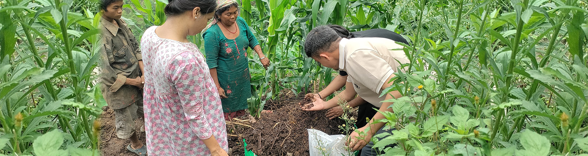 Participatory action research on agroecological initiatives