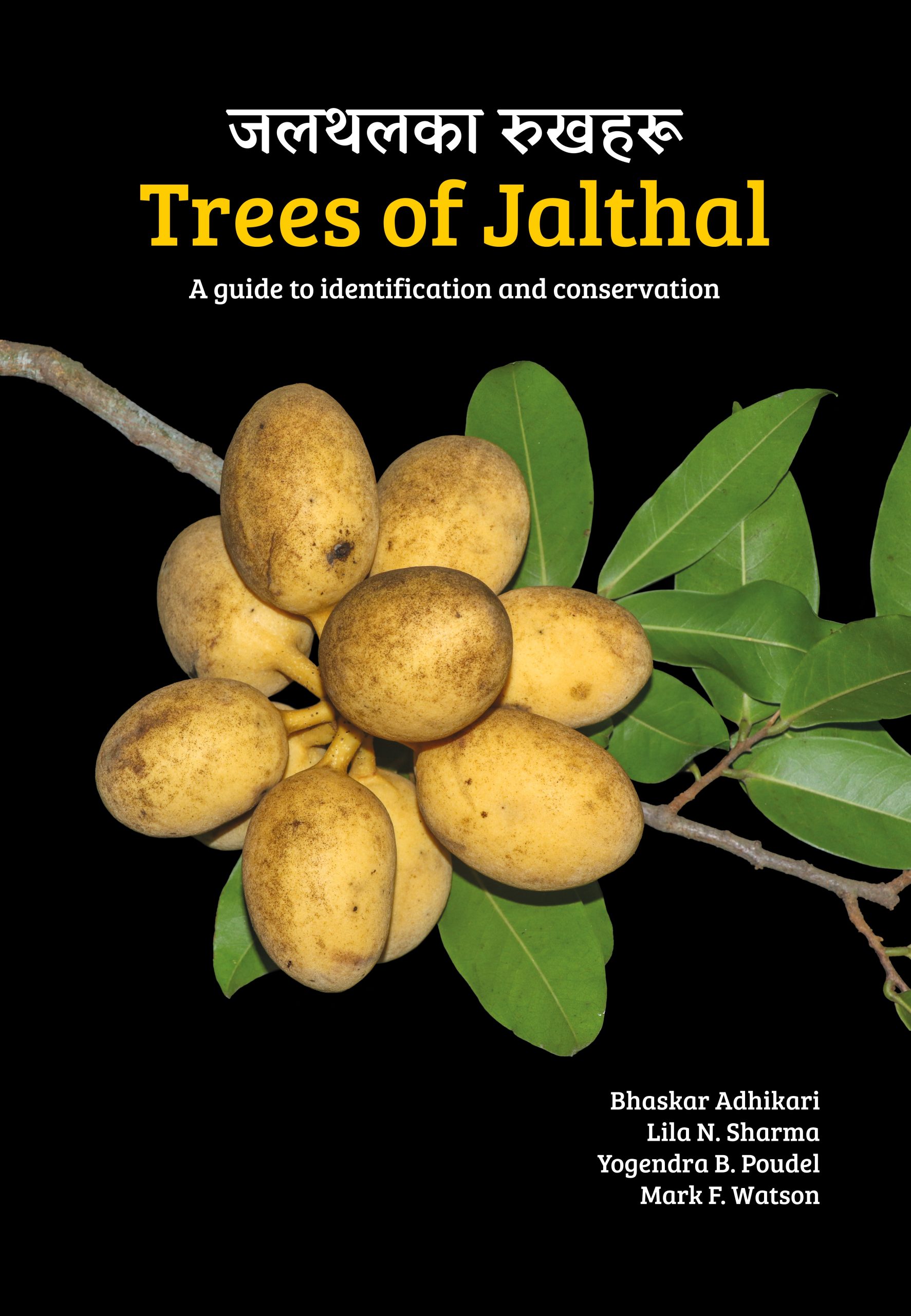 Trees of Jalthal: A guide to identification and conservation