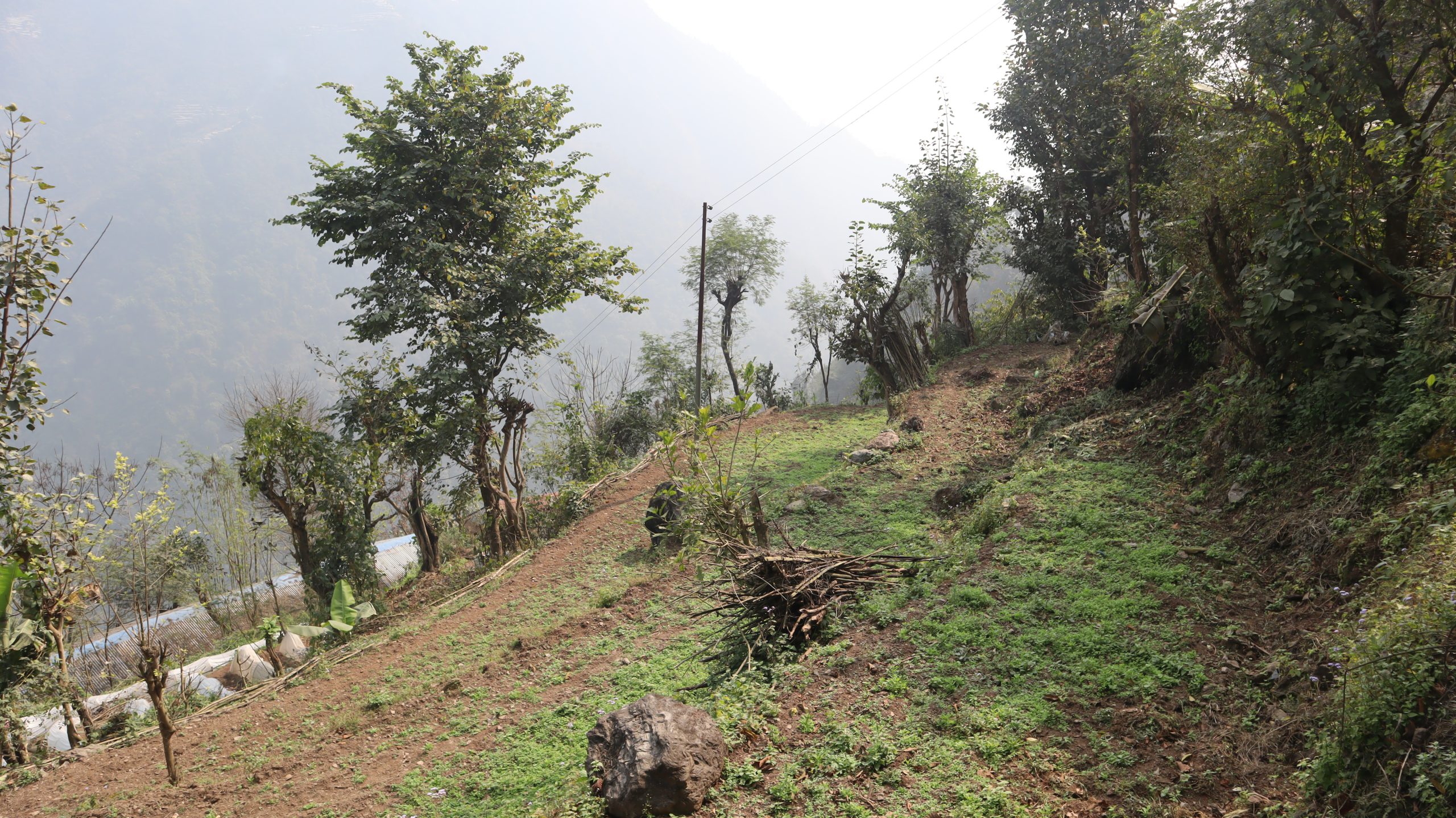 What happens when a community takes the lead in restoring its soil?