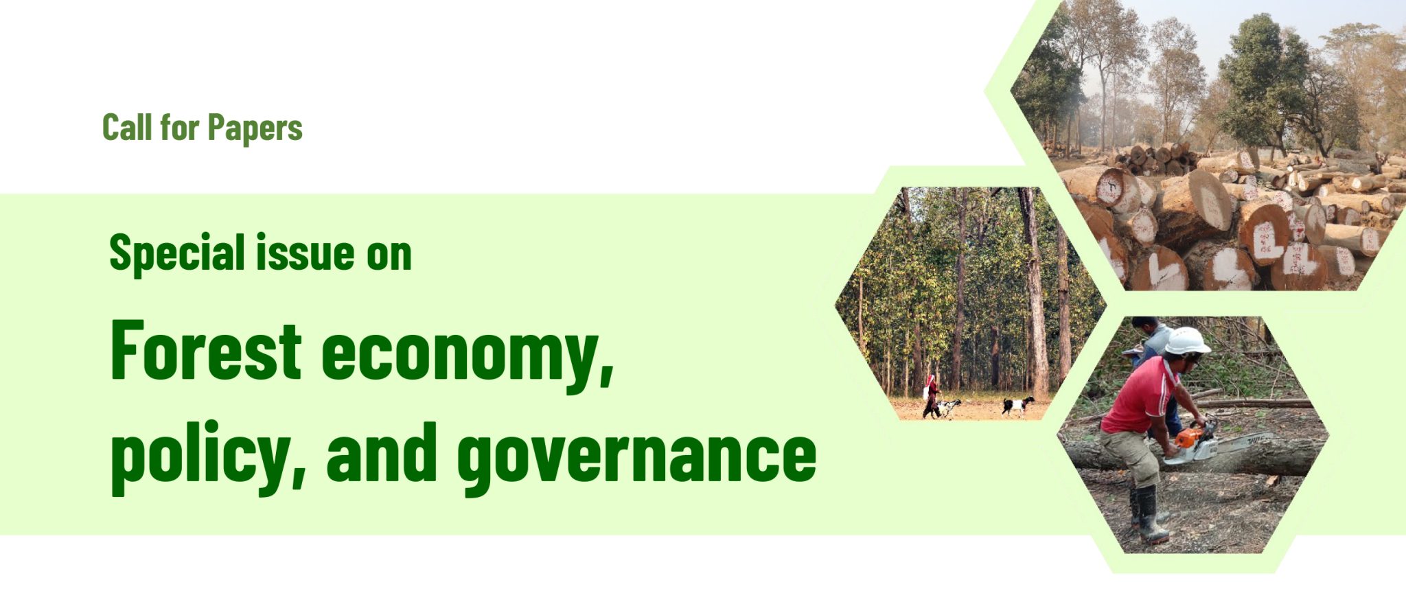 Special issue on forest economy, policy, and governance - ForestAction ...