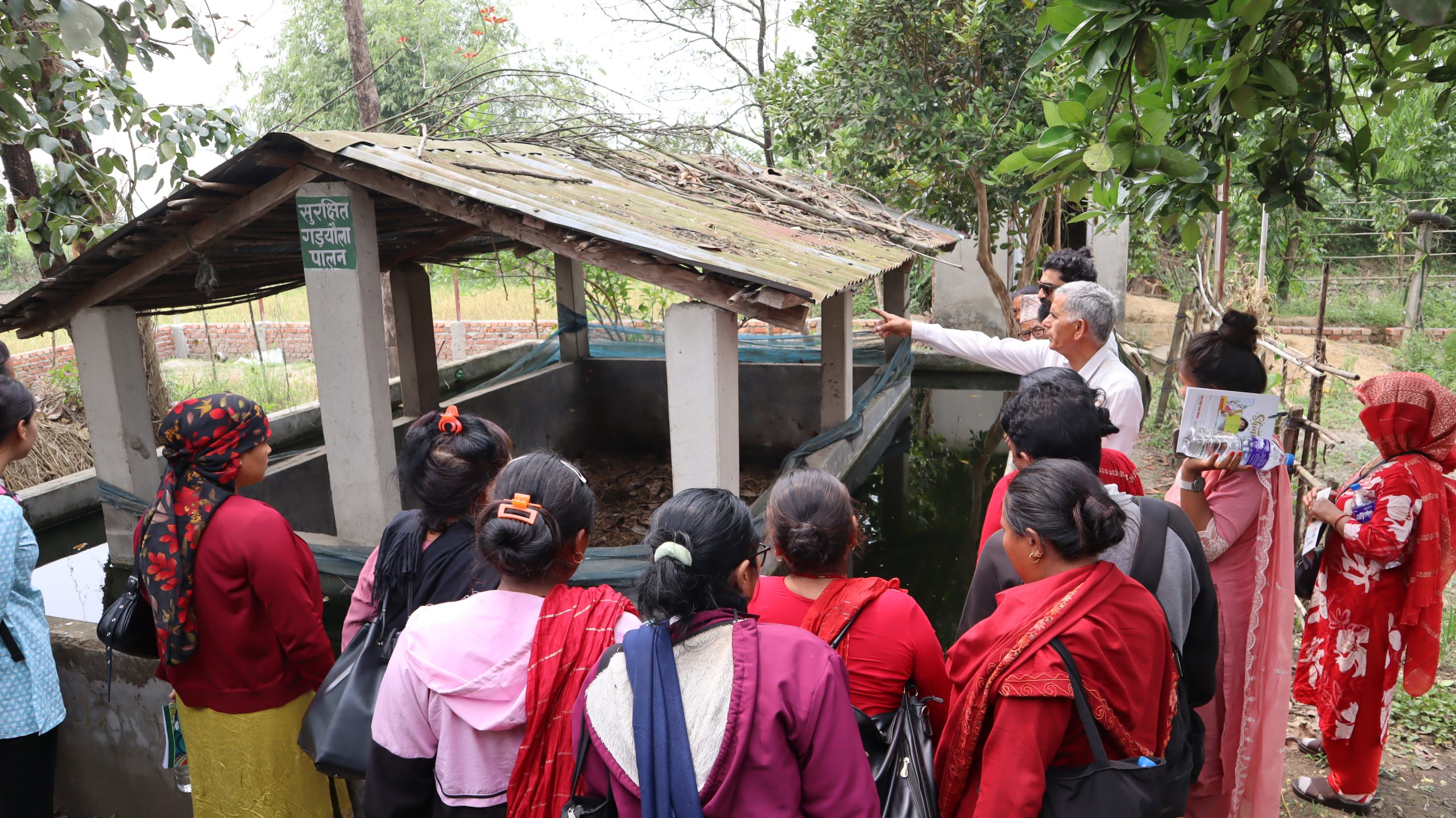 Exchange visit to organic farms in Chitwan: learning from the field